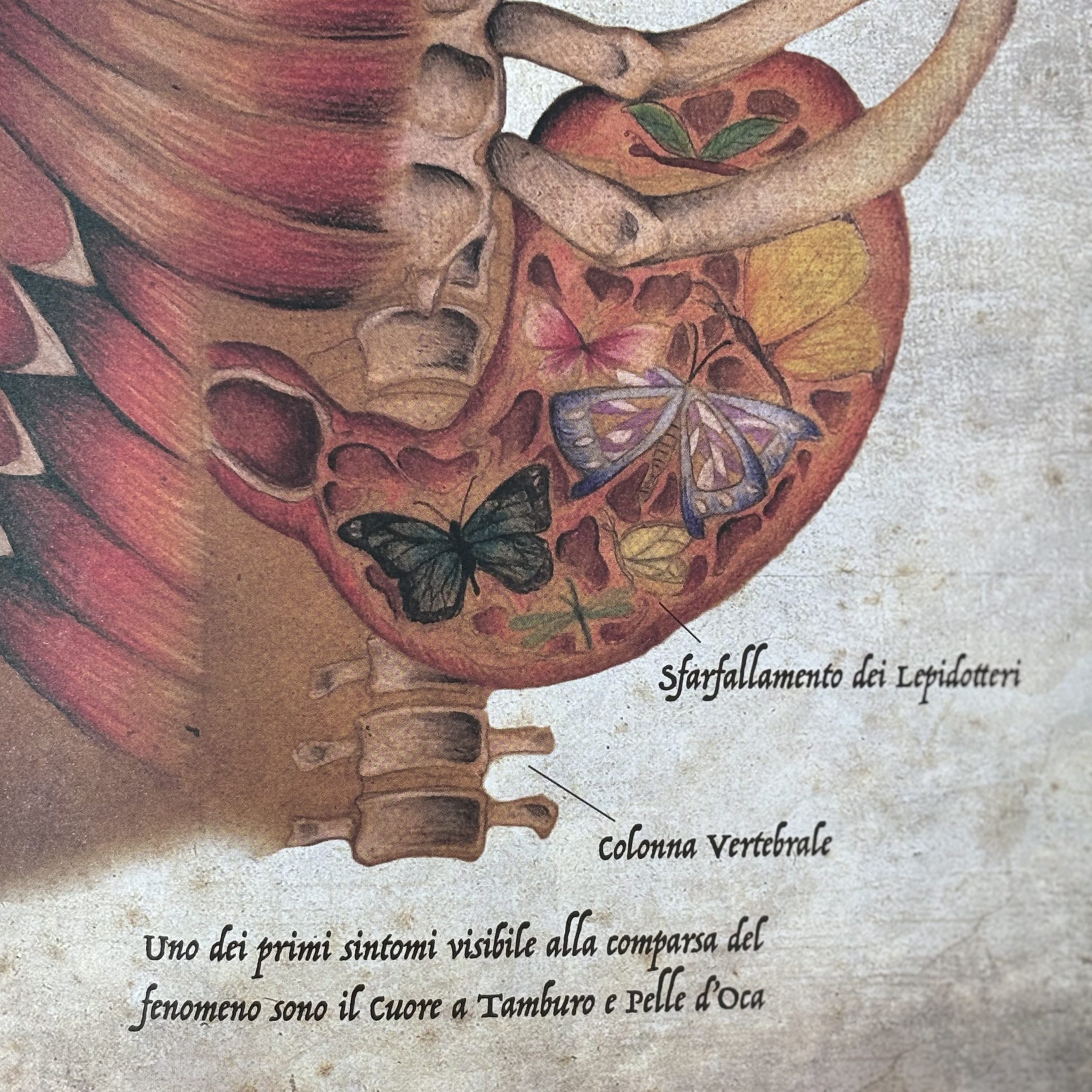 Trattato di Anatomia Emozionale - immagine 5