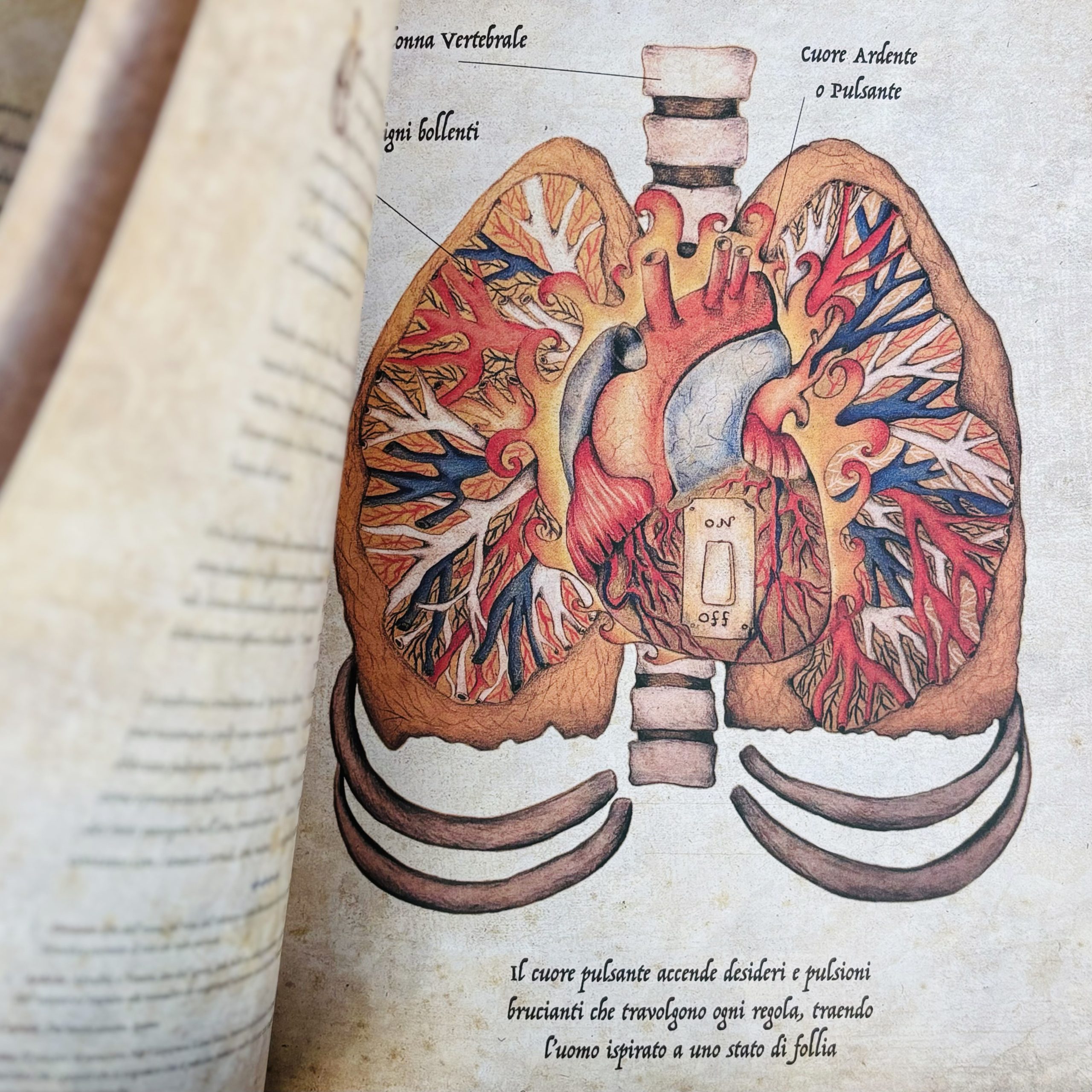 Trattato di Anatomia Emozionale - immagine 3