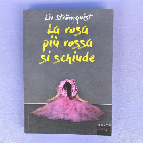 La rosa più rossa si schiude