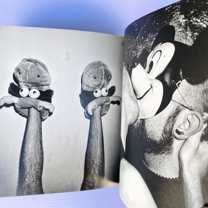 FAGS - immagine 3