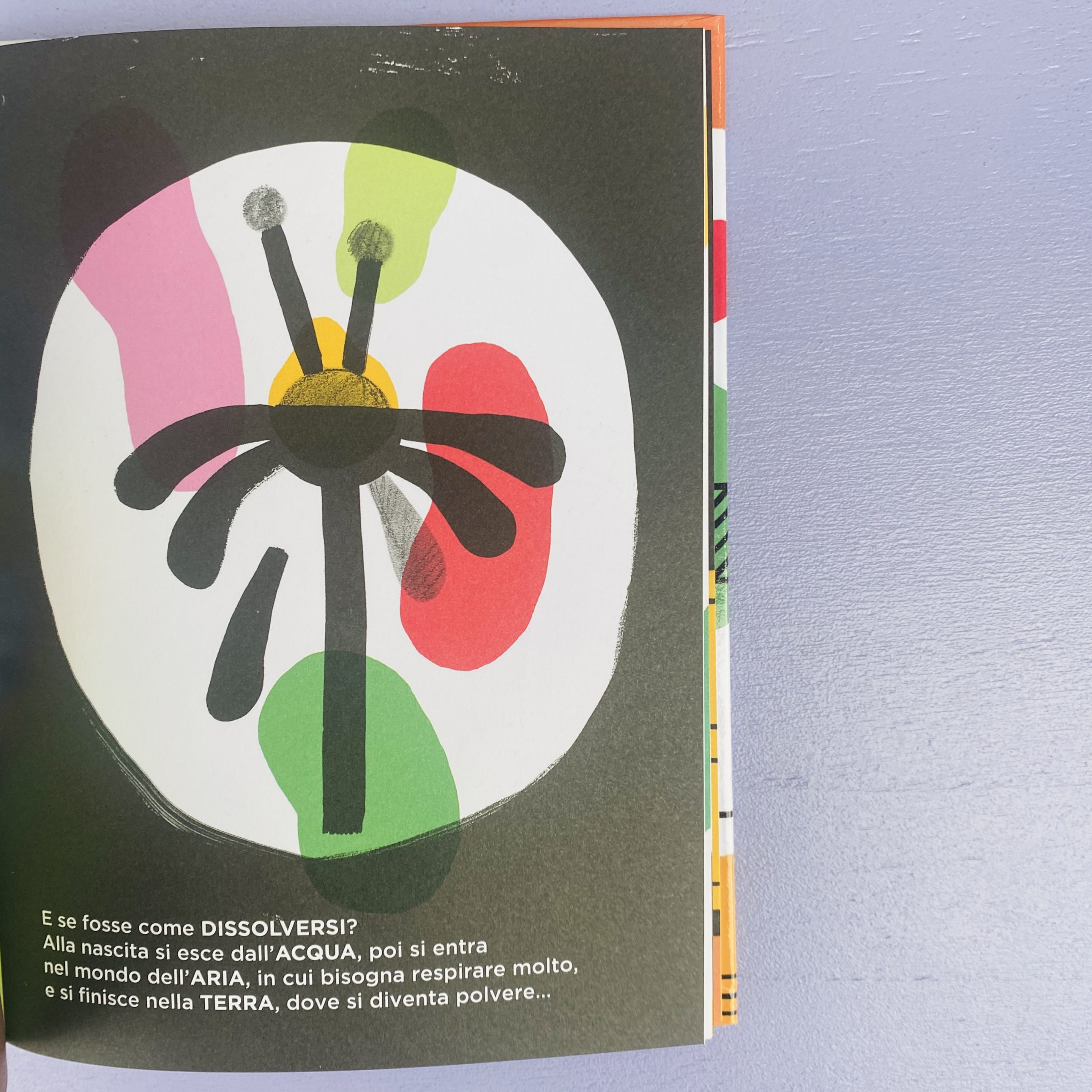 Memento mori - immagine 2