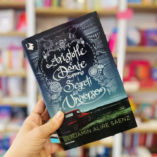 Aristotle e Dante scoprono i segreti dell'universo