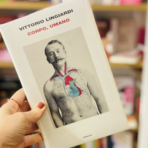 Corpo, umano
