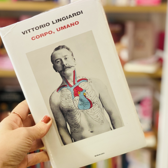 Corpo, umano