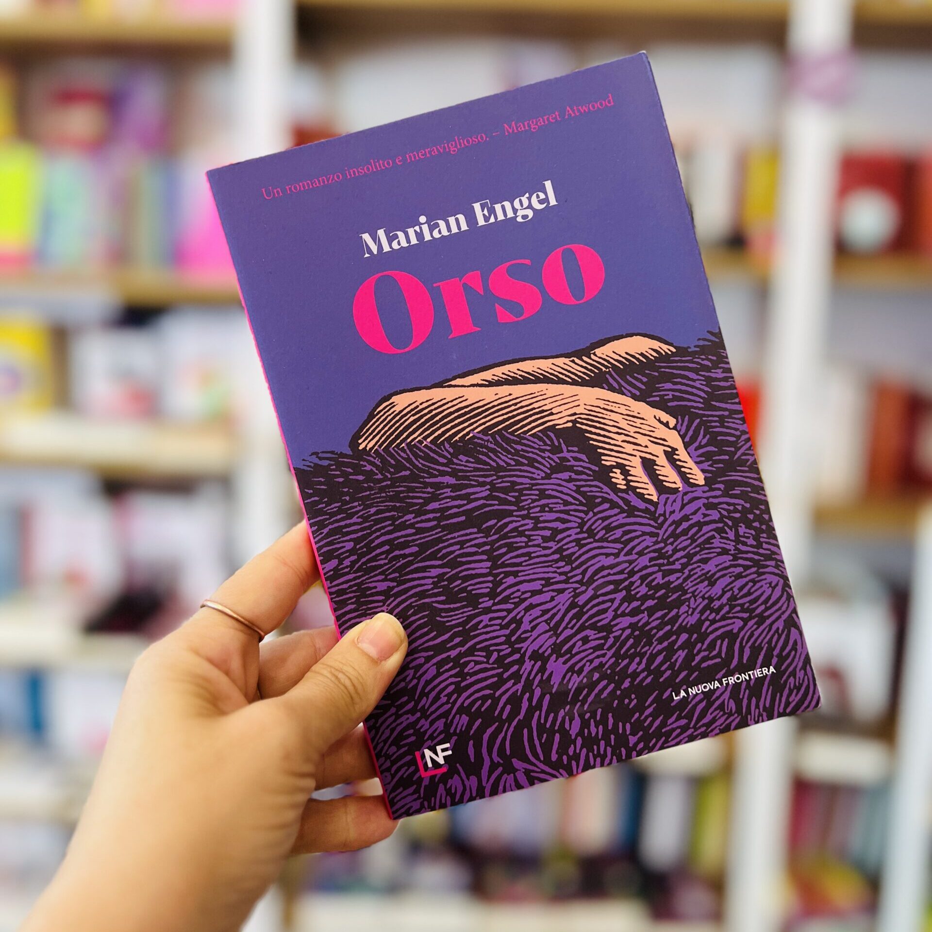 Orso