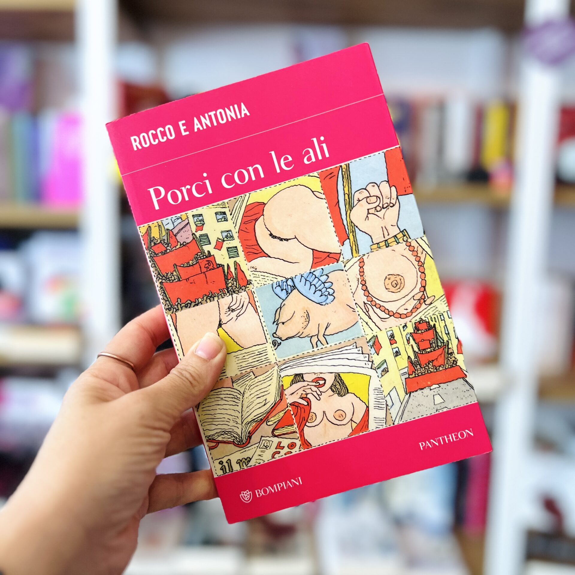 Porci con le ali